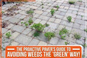 Read more about the article The Proactive Paver’s Guide To Avoiding Weeds The ‘Green’ Way!